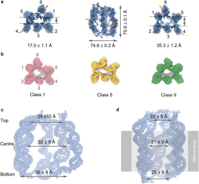 https://cdn.ncbi.nlm.nih.gov/pmc/blobs/3881/10279742/4cc25772099e/41467_2023_38681_Fig4_HTML.jpg
