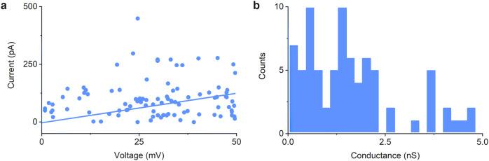 https://cdn.ncbi.nlm.nih.gov/pmc/blobs/3881/10279742/d4889dbe9433/41467_2023_38681_Fig7_HTML.jpg