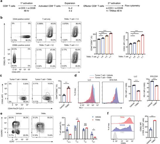 https://cdn.ncbi.nlm.nih.gov/pmc/blobs/3882/11040375/d1142dcdfca7/ADVS-11-2304501-g005.jpg