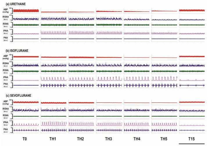 https://cdn.ncbi.nlm.nih.gov/pmc/blobs/3882/11048470/c34e6f0ae703/biomedicines-12-00910-g002.jpg