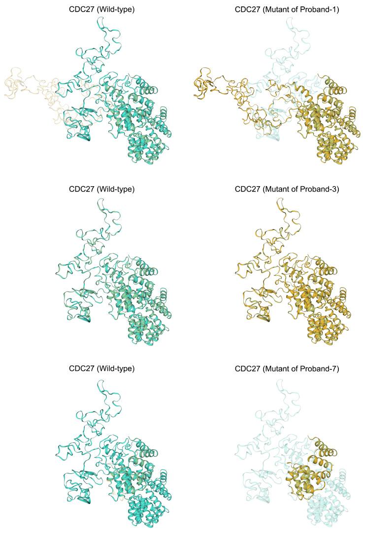 https://cdn.ncbi.nlm.nih.gov/pmc/blobs/3882/11083823/522c7b71f199/ijms-25-04707-g002.jpg
