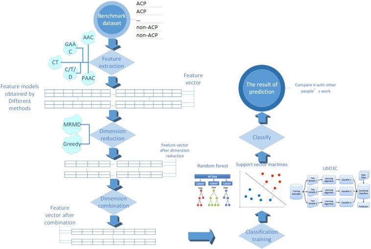 https://cdn.ncbi.nlm.nih.gov/pmc/blobs/3882/7434836/b39e17bb5ad6/fbioe-08-00892-g001.jpg