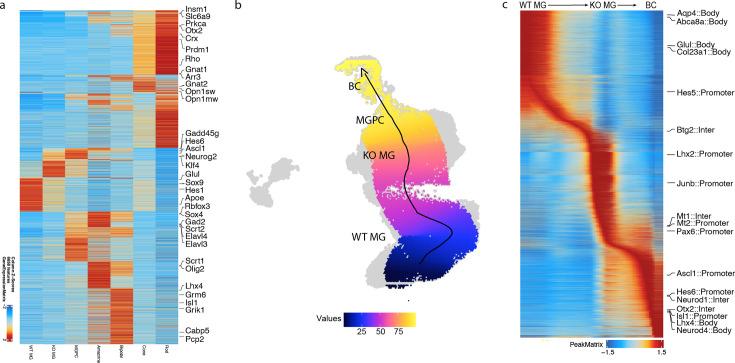 https://cdn.ncbi.nlm.nih.gov/pmc/blobs/3884/12088672/424dd615be0b/elife-106450-fig4-figsupp1.jpg