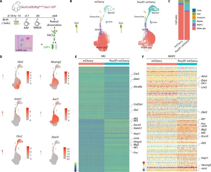 https://cdn.ncbi.nlm.nih.gov/pmc/blobs/3884/12088672/68e3b230fe28/elife-106450-fig3.jpg