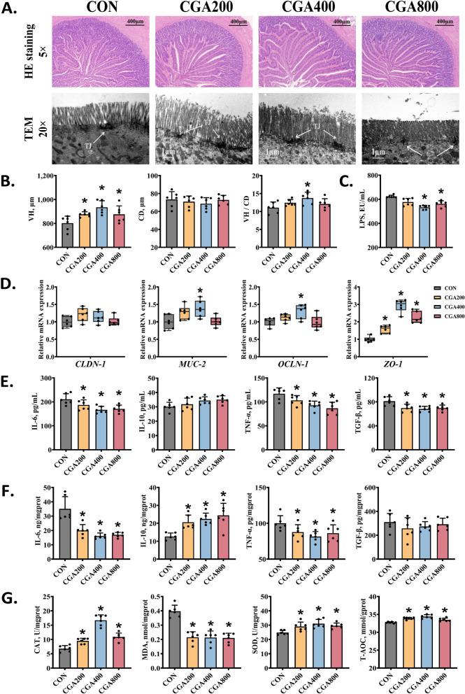 https://cdn.ncbi.nlm.nih.gov/pmc/blobs/3885/12142991/062647f81603/40104_2025_1216_Fig5_HTML.jpg