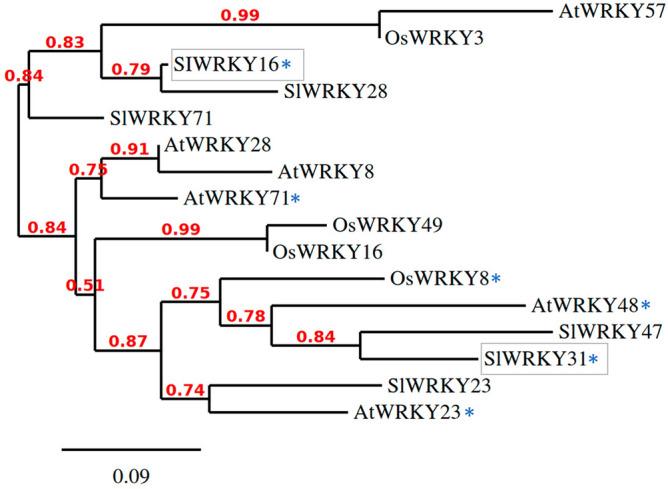 https://cdn.ncbi.nlm.nih.gov/pmc/blobs/3887/10480479/ee88c9580564/41598_2023_40557_Fig1_HTML.jpg