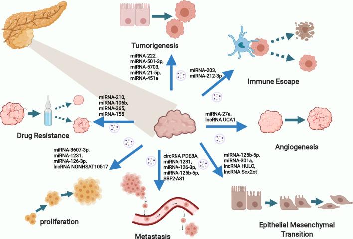 https://cdn.ncbi.nlm.nih.gov/pmc/blobs/3887/8268510/c237ab373c52/12935_2021_2059_Fig2_HTML.jpg