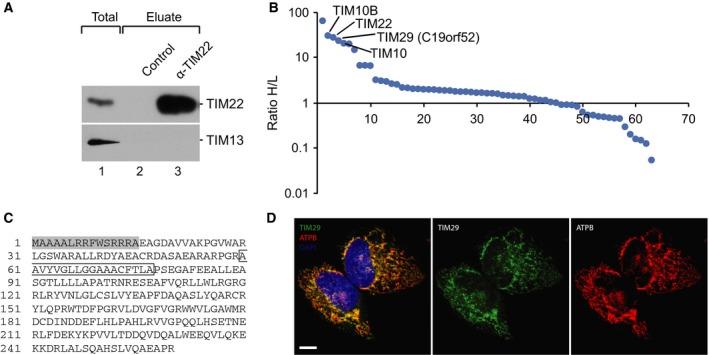 https://cdn.ncbi.nlm.nih.gov/pmc/blobs/3888/5215392/15a091861230/FEB2-590-4147-g001.jpg