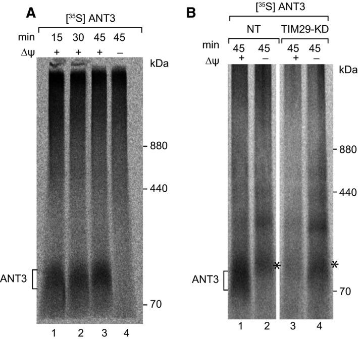 https://cdn.ncbi.nlm.nih.gov/pmc/blobs/3888/5215392/aba99bd3fd37/FEB2-590-4147-g005.jpg
