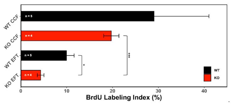 https://cdn.ncbi.nlm.nih.gov/pmc/blobs/3889/8534692/89e2b860bd8e/cells-10-02787-g002.jpg