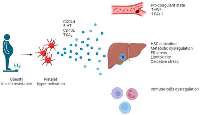 https://cdn.ncbi.nlm.nih.gov/pmc/blobs/388a/11051088/5ea95fab4148/life-14-00473-g002.jpg