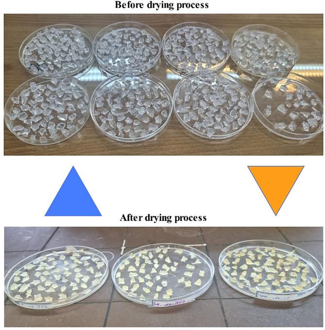 https://cdn.ncbi.nlm.nih.gov/pmc/blobs/388a/11920396/a8c7e72a9d1d/41598_2025_93884_Fig1_HTML.jpg