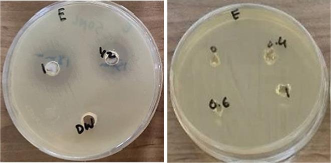 https://cdn.ncbi.nlm.nih.gov/pmc/blobs/388a/11920396/dbaeb9eab1e9/41598_2025_93884_Fig13_HTML.jpg