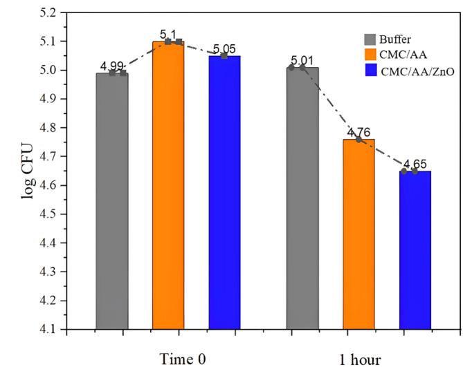 https://cdn.ncbi.nlm.nih.gov/pmc/blobs/388a/11920396/e72374edb2e0/41598_2025_93884_Fig14_HTML.jpg