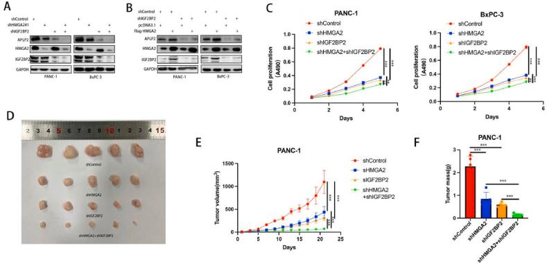https://cdn.ncbi.nlm.nih.gov/pmc/blobs/388b/10915557/5d564e47e611/gr5.jpg
