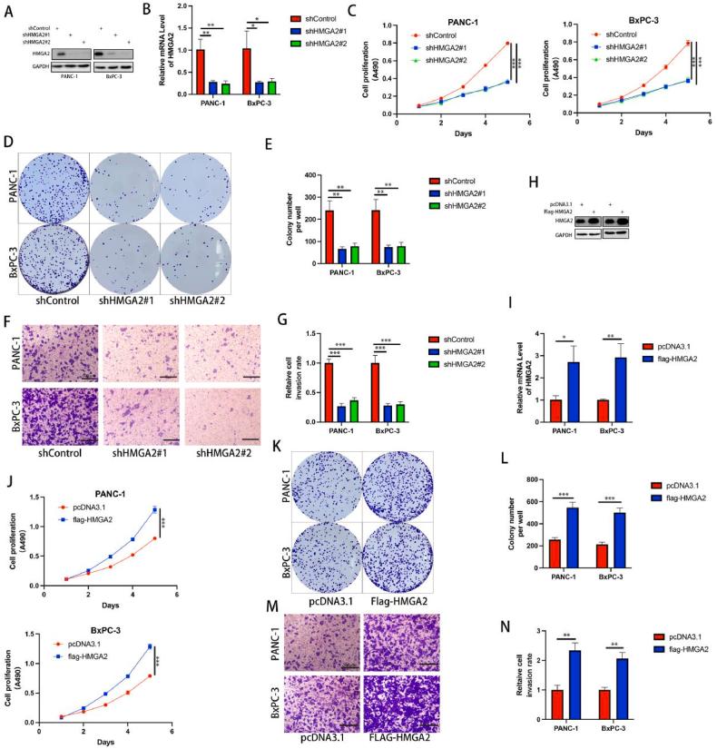 https://cdn.ncbi.nlm.nih.gov/pmc/blobs/388b/10915557/8955a37cbd7e/gr2.jpg