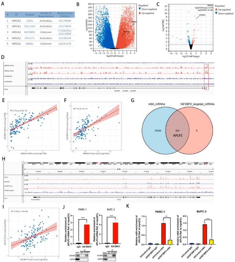 https://cdn.ncbi.nlm.nih.gov/pmc/blobs/388b/10915557/a085b7c12045/gr4.jpg