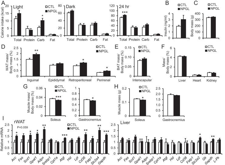 https://cdn.ncbi.nlm.nih.gov/pmc/blobs/3890/5553934/52252614deab/elife-28527-fig5.jpg