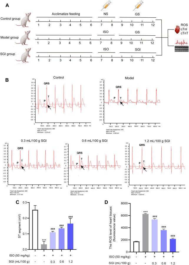 https://cdn.ncbi.nlm.nih.gov/pmc/blobs/3896/9849394/a1c6f1dc5a70/fphar-13-931811-g002.jpg