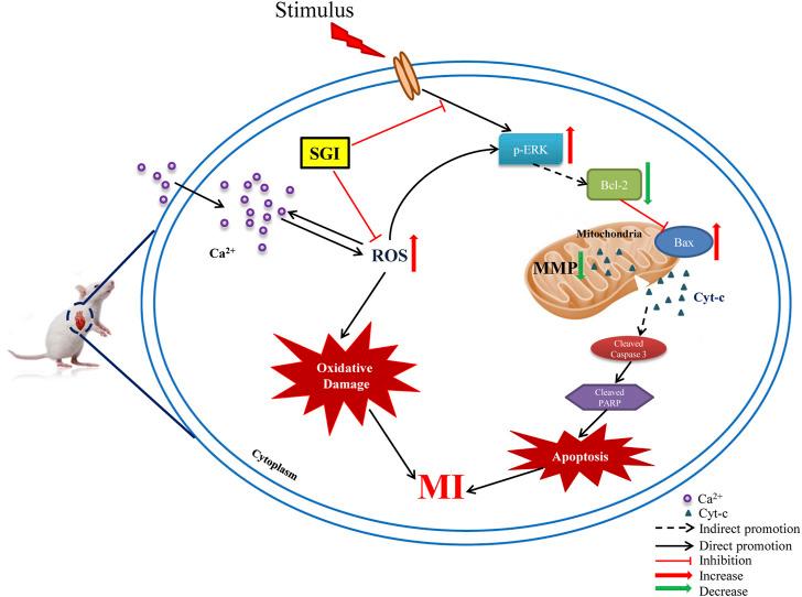 https://cdn.ncbi.nlm.nih.gov/pmc/blobs/3896/9849394/d662c277ce91/fphar-13-931811-g010.jpg