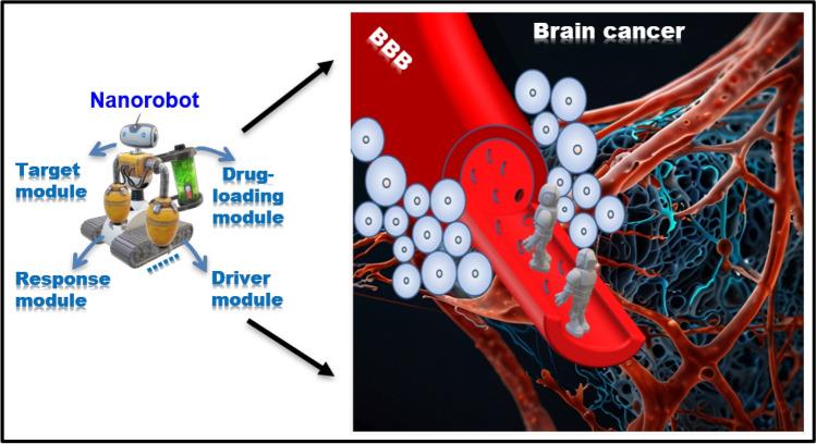 https://cdn.ncbi.nlm.nih.gov/pmc/blobs/3898/11564721/2d34b97b05c4/11671_2024_4131_Fig1_HTML.jpg