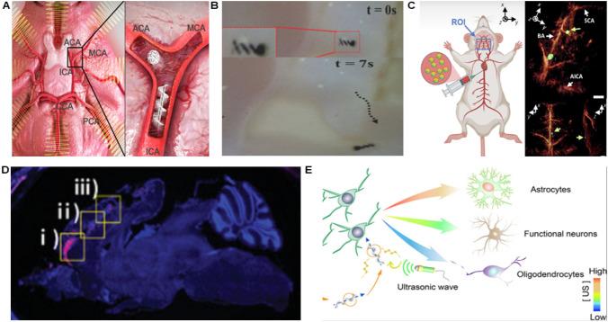 https://cdn.ncbi.nlm.nih.gov/pmc/blobs/3898/11564721/d0c8a92e56b1/11671_2024_4131_Fig8_HTML.jpg