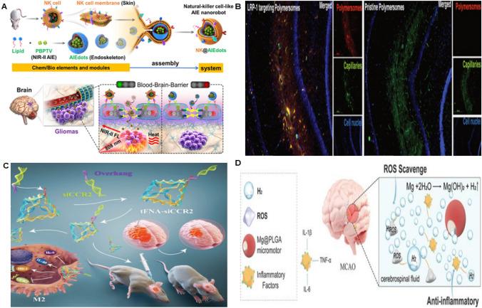 https://cdn.ncbi.nlm.nih.gov/pmc/blobs/3898/11564721/ff01d7046537/11671_2024_4131_Fig7_HTML.jpg