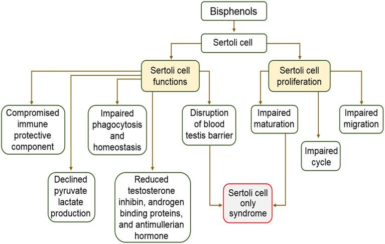 https://cdn.ncbi.nlm.nih.gov/pmc/blobs/3898/7518410/e04cd18aab48/fendo-11-00624-g0003.jpg