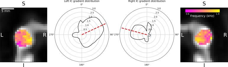 https://cdn.ncbi.nlm.nih.gov/pmc/blobs/3899/6711666/1391fe23ff12/elife-44837-fig3-figsupp1.jpg