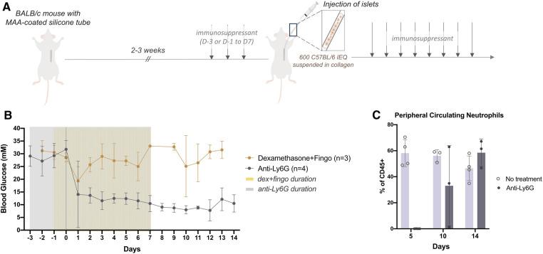 https://cdn.ncbi.nlm.nih.gov/pmc/blobs/389a/11235352/524b386be952/frtra-02-1244093-g002.jpg