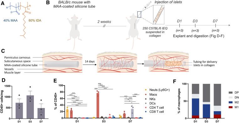 https://cdn.ncbi.nlm.nih.gov/pmc/blobs/389a/11235352/f96ebaf23848/frtra-02-1244093-g001.jpg