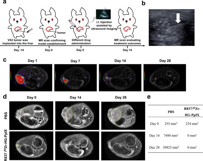 https://cdn.ncbi.nlm.nih.gov/pmc/blobs/389a/11504187/196909805ff9/im3c00098_0005.jpg