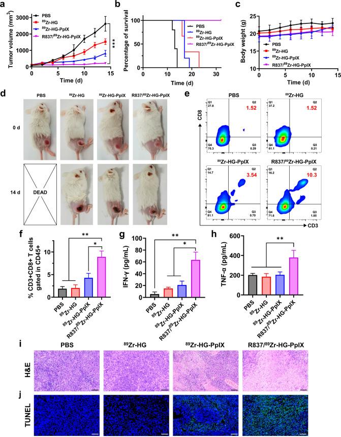 https://cdn.ncbi.nlm.nih.gov/pmc/blobs/389a/11504187/349abfa2a09a/im3c00098_0003.jpg