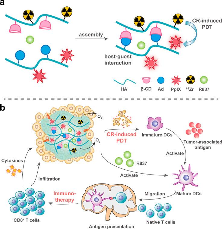https://cdn.ncbi.nlm.nih.gov/pmc/blobs/389a/11504187/e8bafce1c601/im3c00098_0006.jpg
