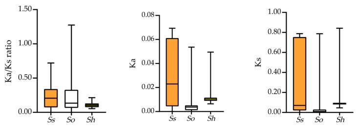 https://cdn.ncbi.nlm.nih.gov/pmc/blobs/389a/12349412/5f9b75ec8ed5/plants-14-02433-g003.jpg
