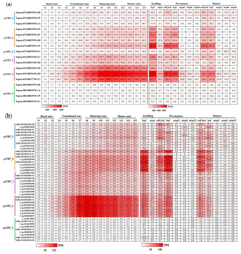 https://cdn.ncbi.nlm.nih.gov/pmc/blobs/389a/12349412/7504c82b5784/plants-14-02433-g004.jpg