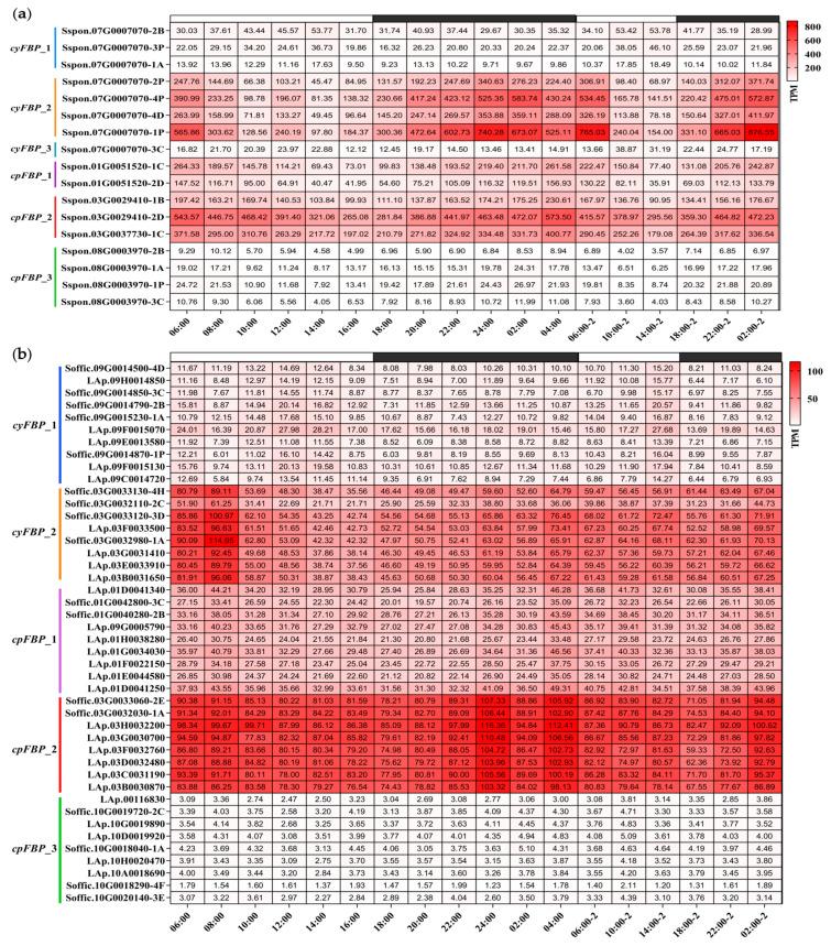 https://cdn.ncbi.nlm.nih.gov/pmc/blobs/389a/12349412/9f3eee59272a/plants-14-02433-g005a.jpg