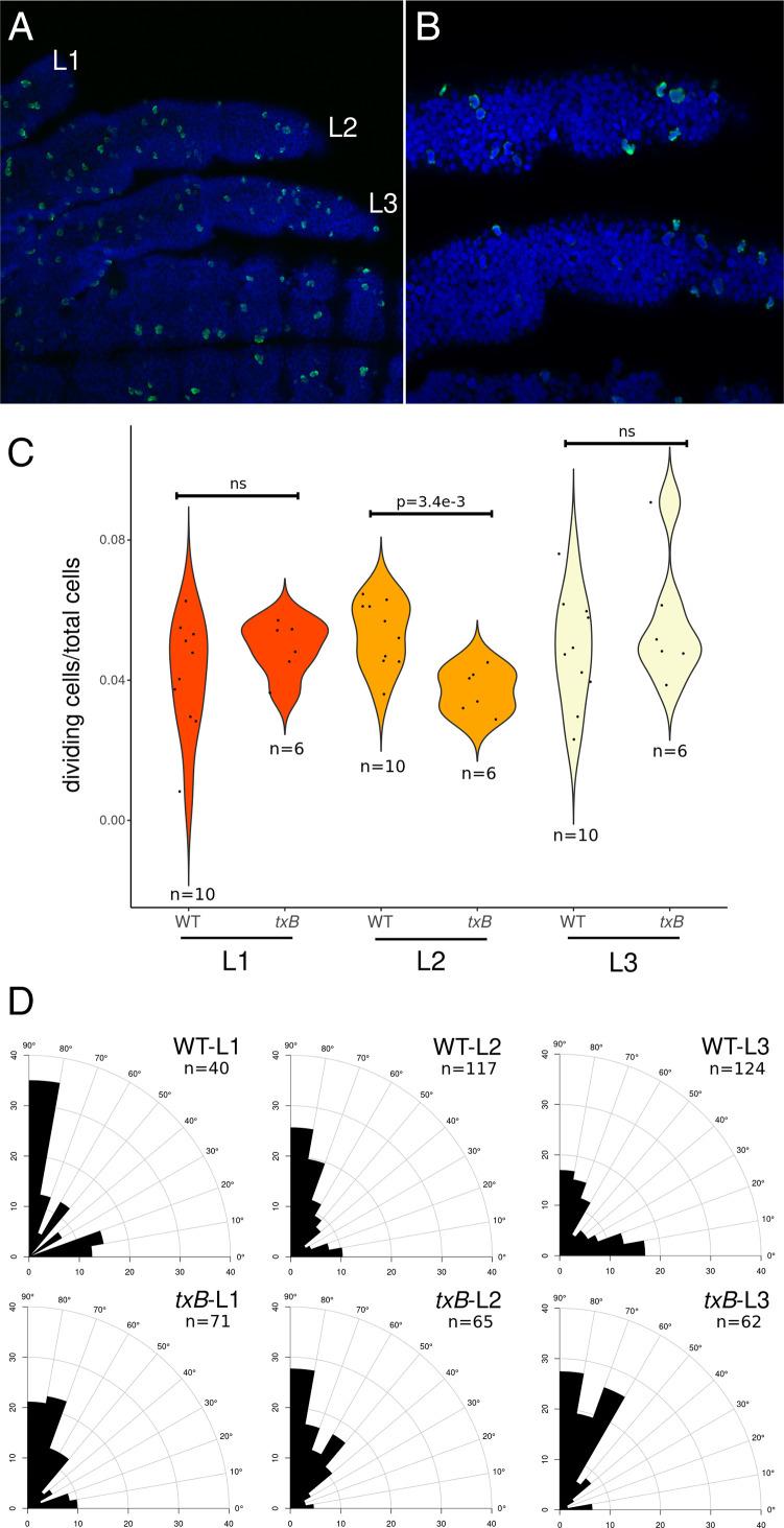 https://cdn.ncbi.nlm.nih.gov/pmc/blobs/389c/8892508/ed2b344bf41e/pnas.2119210119fig05.jpg