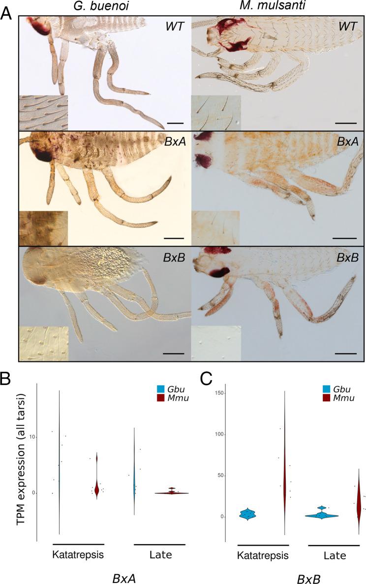 https://cdn.ncbi.nlm.nih.gov/pmc/blobs/389c/8892508/ff7930784284/pnas.2119210119fig03.jpg