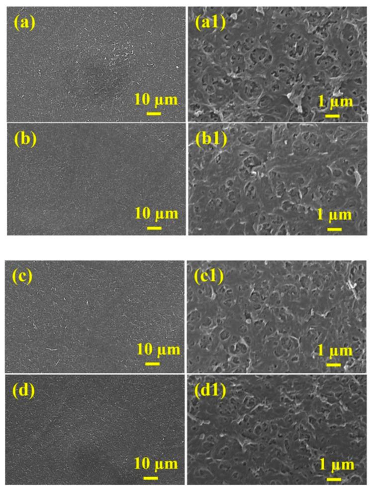 https://cdn.ncbi.nlm.nih.gov/pmc/blobs/389e/8588481/24525e75c8a7/polymers-13-03728-g004.jpg