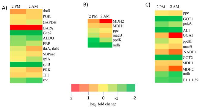 https://cdn.ncbi.nlm.nih.gov/pmc/blobs/389f/10100241/917ea7ec651e/12864_2023_9270_Fig3_HTML.jpg