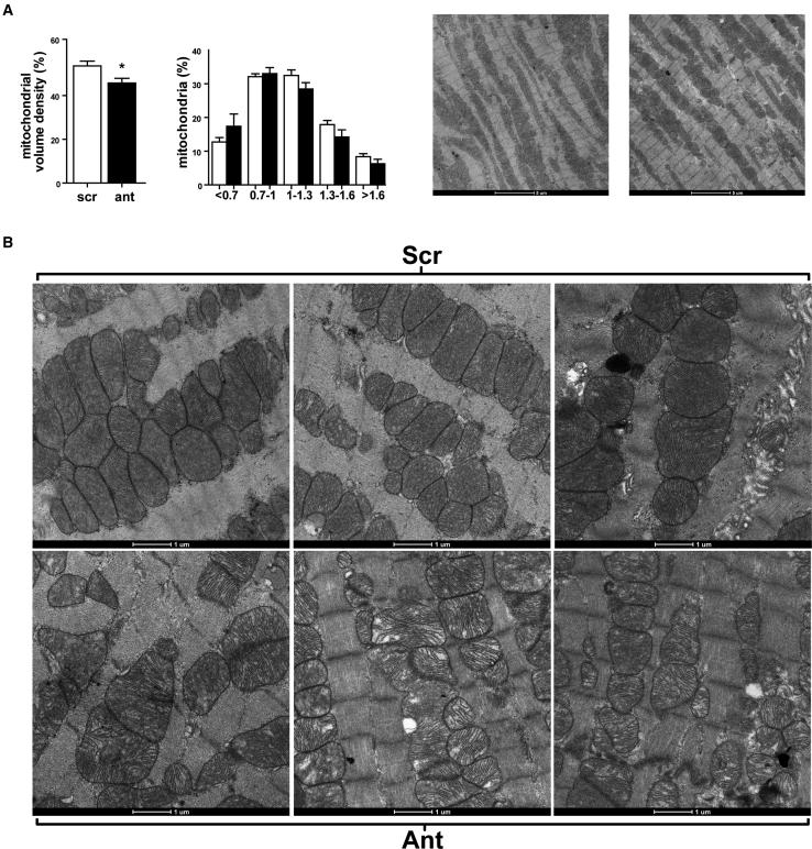 https://cdn.ncbi.nlm.nih.gov/pmc/blobs/389f/6365487/75dd9e948113/gr4.jpg