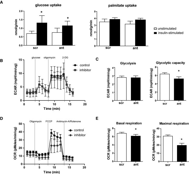 https://cdn.ncbi.nlm.nih.gov/pmc/blobs/389f/6365487/82efbb079f38/gr5.jpg