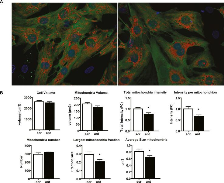 https://cdn.ncbi.nlm.nih.gov/pmc/blobs/389f/6365487/a93a53ebccac/gr6.jpg