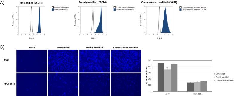 https://cdn.ncbi.nlm.nih.gov/pmc/blobs/389f/9664687/1adbf8183961/13287_2022_3198_Fig4_HTML.jpg