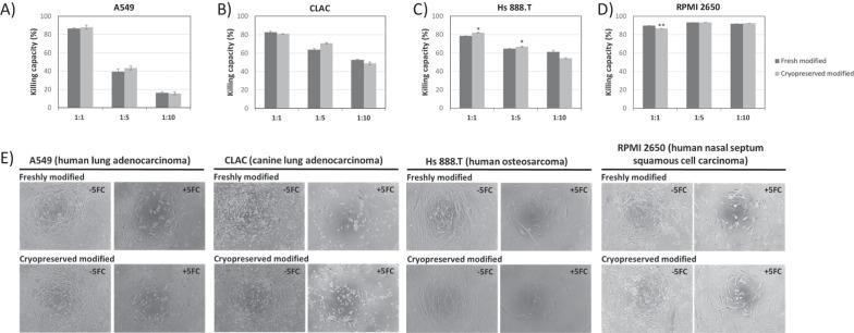 https://cdn.ncbi.nlm.nih.gov/pmc/blobs/389f/9664687/33d17a9c6fc6/13287_2022_3198_Fig5_HTML.jpg