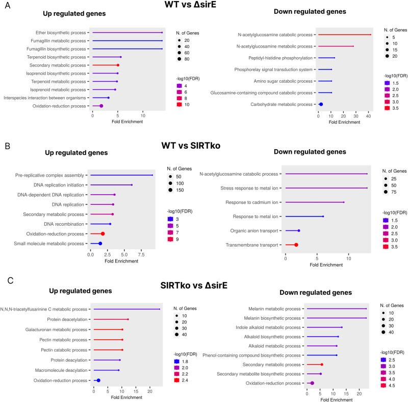 https://cdn.ncbi.nlm.nih.gov/pmc/blobs/38a1/11162503/4e12635c4916/42003_2024_6383_Fig8_HTML.jpg