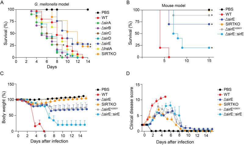 https://cdn.ncbi.nlm.nih.gov/pmc/blobs/38a1/11162503/6bb6549f87bf/42003_2024_6383_Fig3_HTML.jpg