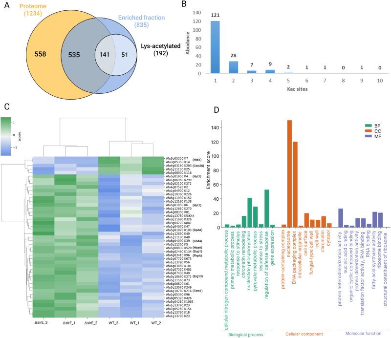 https://cdn.ncbi.nlm.nih.gov/pmc/blobs/38a1/11162503/cd45c49a44c3/42003_2024_6383_Fig6_HTML.jpg