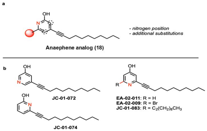 https://cdn.ncbi.nlm.nih.gov/pmc/blobs/38a2/11428593/88ea2462ef86/antibiotics-13-00897-g001.jpg